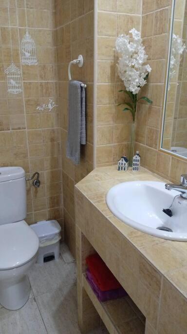 Acogedor Apartamento Jv36 กอร์โดบา ภายนอก รูปภาพ